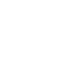 今天干bav网站